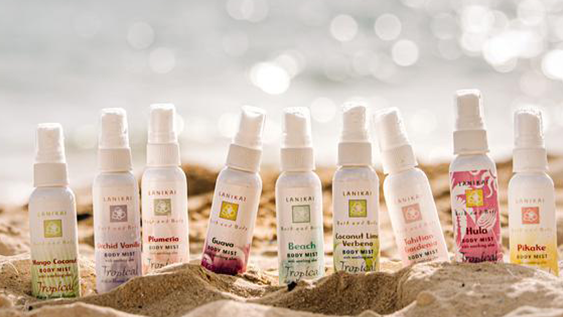 Perfect for Travel and free with purchase this week only~