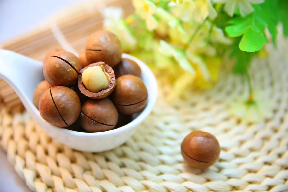 Dry skin no more. Macadamias to the rescue.