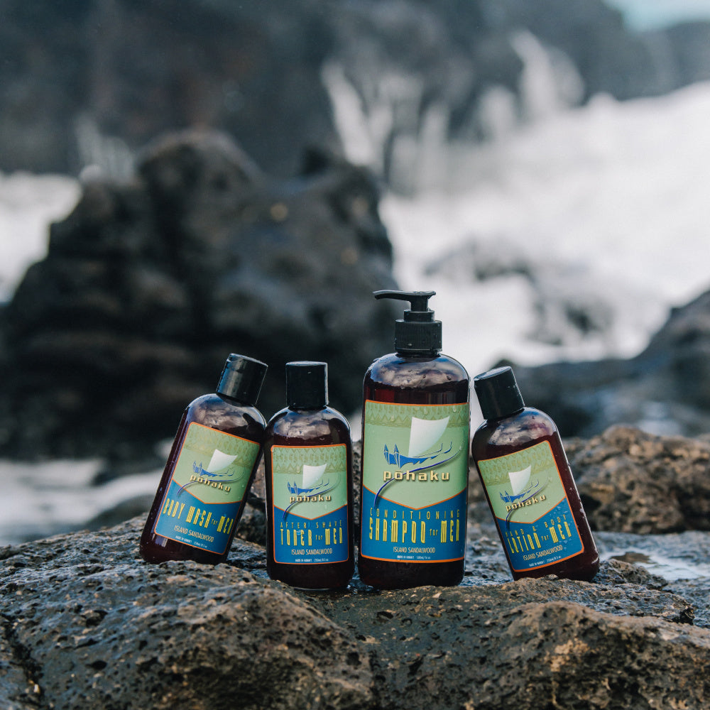 Ancient Hawaiians called their stone art k’i’i pohaku, or images in stone.