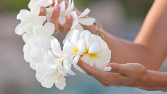 May Day is Lei Day in Hawai`i. Share a Smile and a Lei.