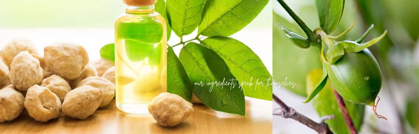 Natural Ingredients.  The Lanikai Standard.