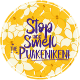 Lanikai Kailua Decals – Island-Inspired Designs