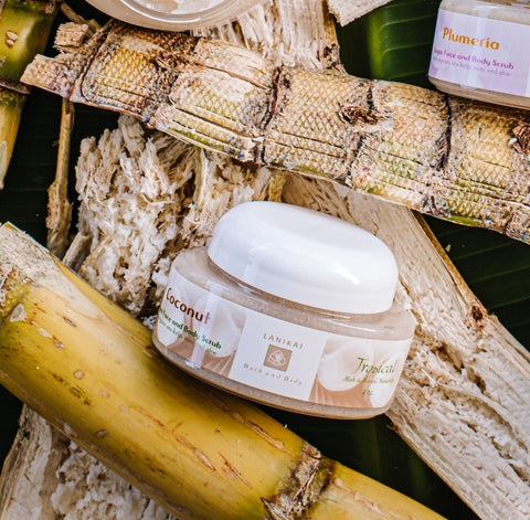 Shop online High quality Coconut Cane Sugar Body Scrub 4 oz. - Lanikai Bath and Body