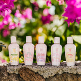 Shop online High quality Lotions to Go! 2.2 oz for your purse or handbag. - Lanikai Bath and Body