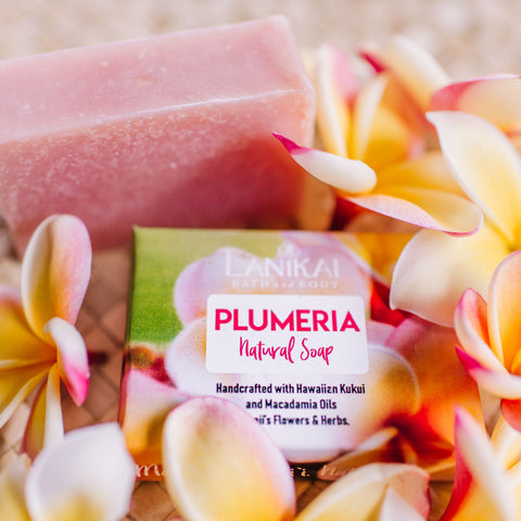 Shop online High quality Natural Plumeria Soap - Lanikai Bath and Body