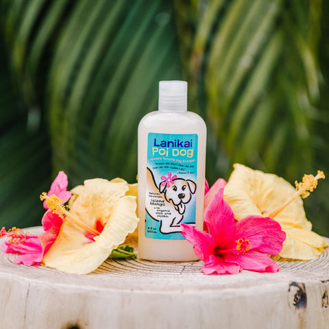 Poi Dog Island Mango Shampoo – Lanikai Bath and Body